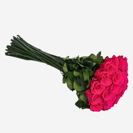 Long Stem Roses | Hot Pink Roses - The Million Roses
