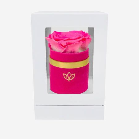 Single Hot Pink Suede Box | Candy Pink Rose - The Million Roses