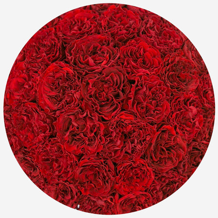 Supreme Black Dome Box | Bright Red Carmen Roses - The Million Roses