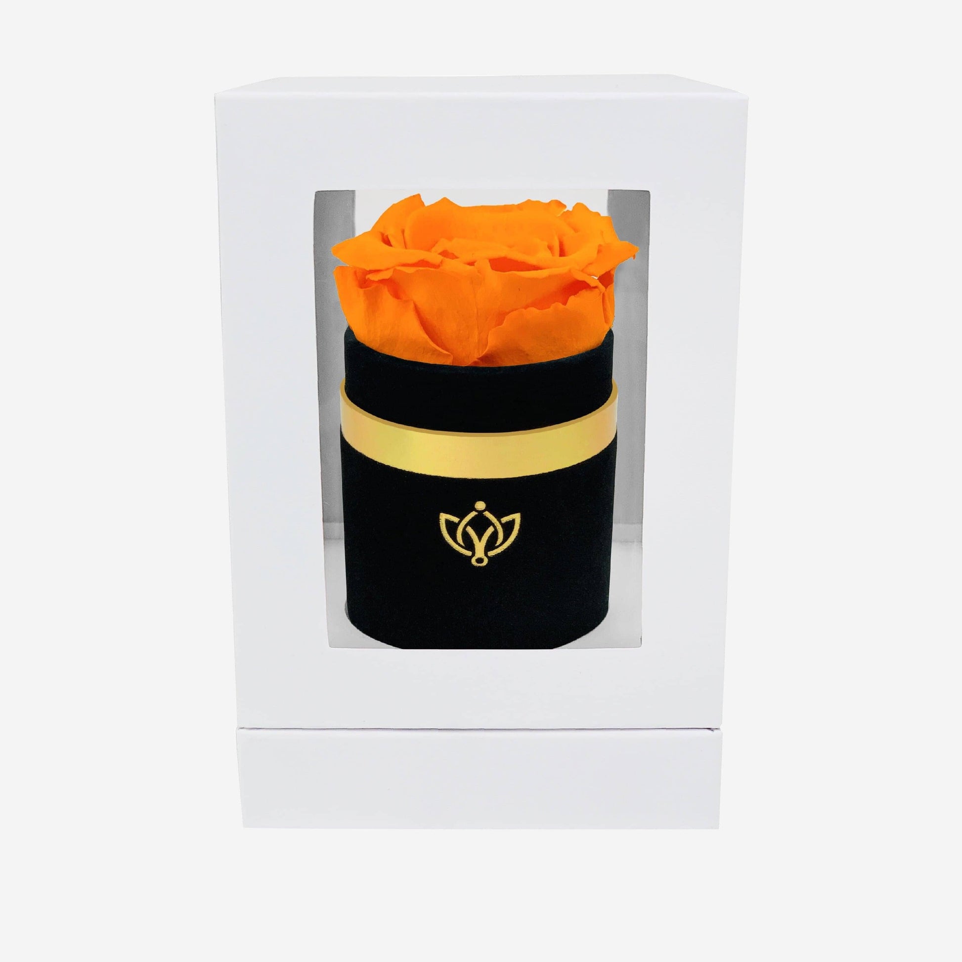 Single Black Suede Box | Orange Rose - The Million Roses