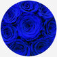 Basic Royal Blue Suede Box | Royal Blue Roses - The Million Roses