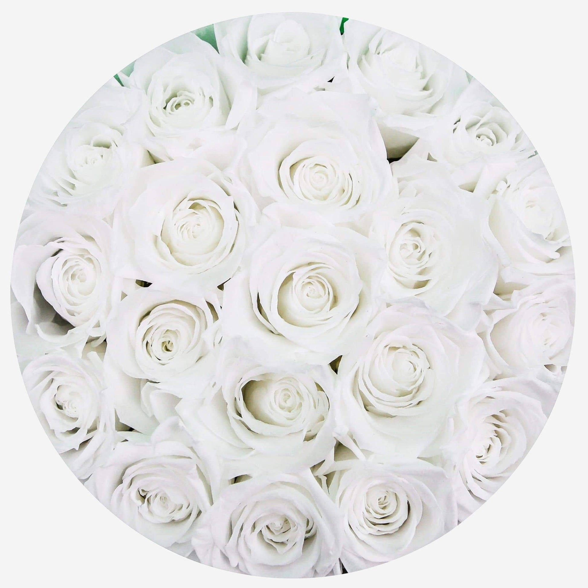 Classic White Box | White Roses - The Million Roses