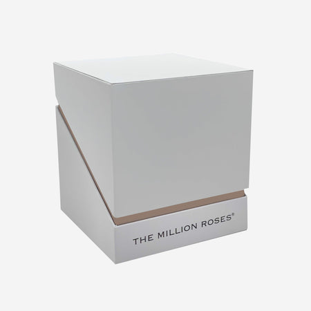 Square White Box | Orange Roses - The Million Roses