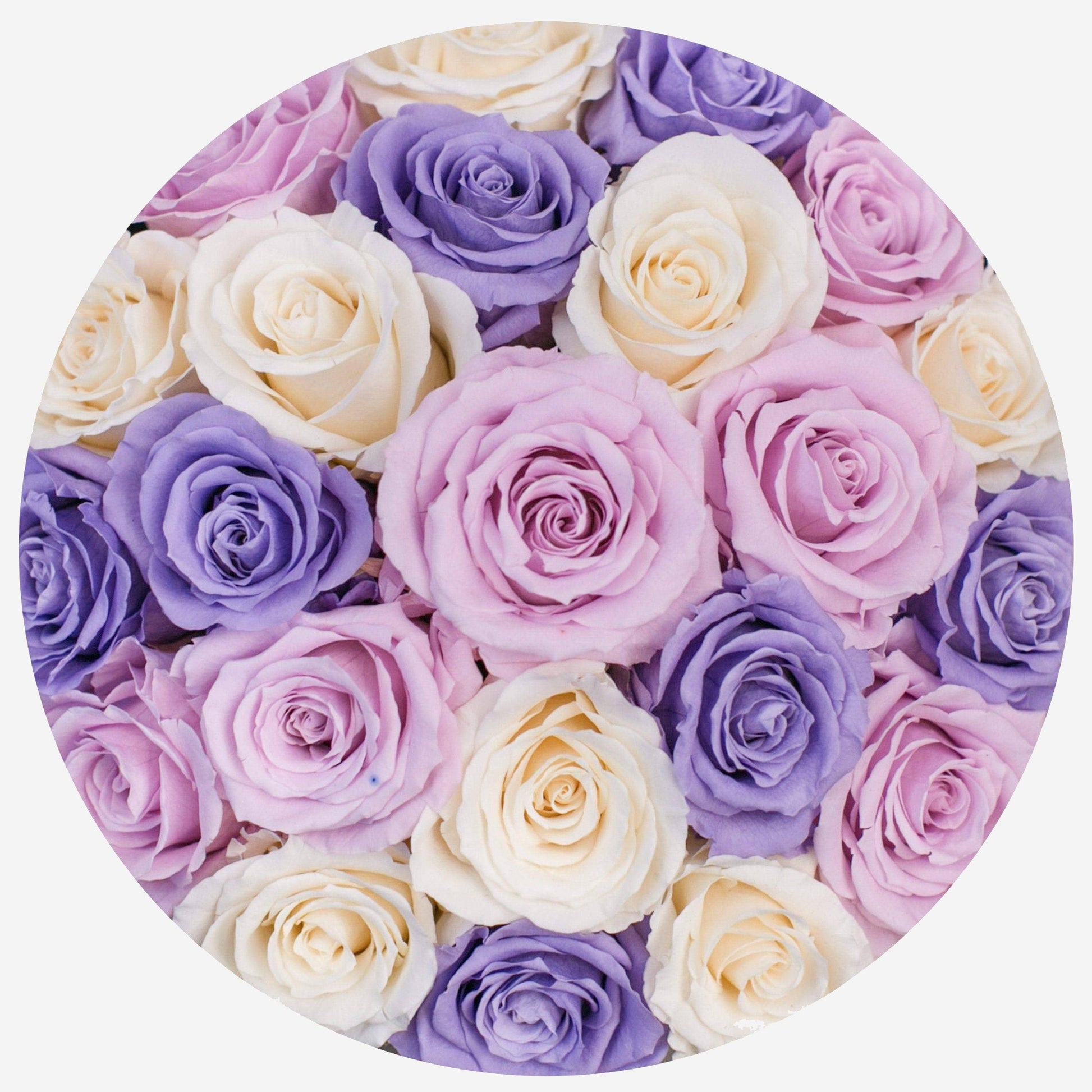 Classic Hot Pink Suede Dome Box | Lavender & Ivory & Pink Roses - The Million Roses