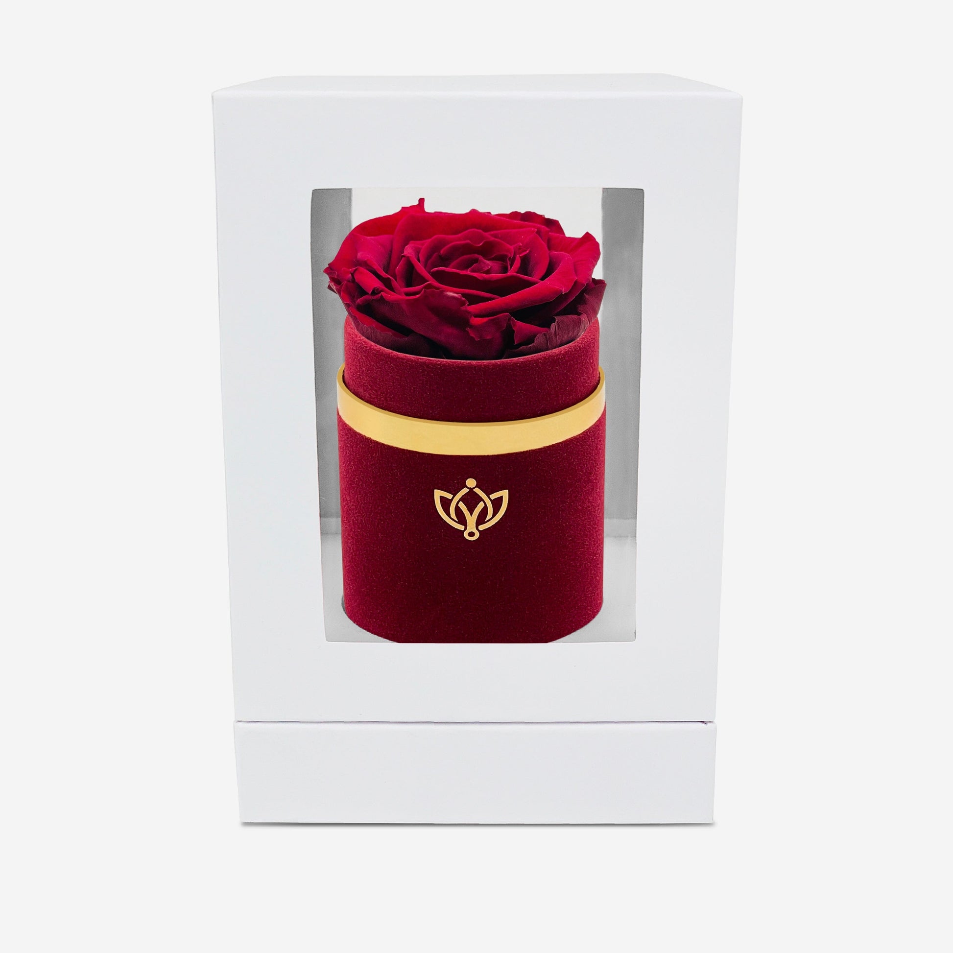 Single Bordeaux Suede Box | Burgundy Rose - The Million Roses