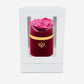 Single Bordeaux Suede Box | Orchid Rose - The Million Roses
