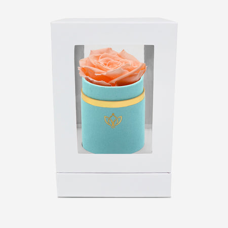 Single Mint Green Suede Box | Peach Rose - The Million Roses