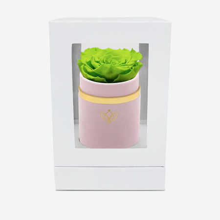 Single Light Pink Suede Box | Light Green Rose - The Million Roses