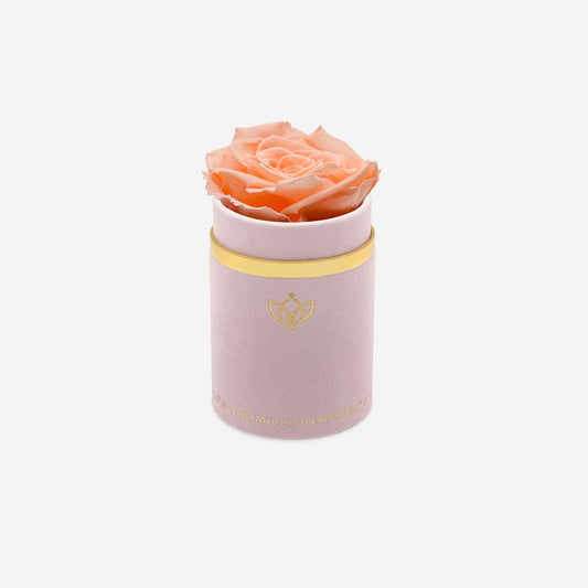Single Light Pink Suede Box | Peach Rose - The Million Roses