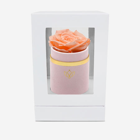 Single Light Pink Suede Box | Peach Rose - The Million Roses