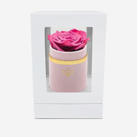 Single Light Pink Suede Box | Orchid Rose - The Million Roses