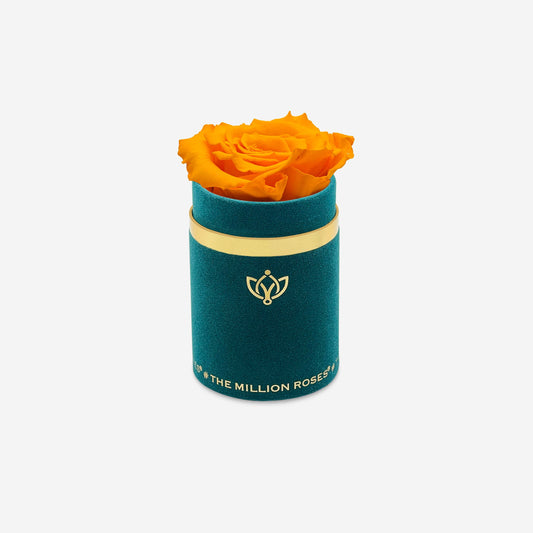Single Dark Green Suede Box | Orange Rose - The Million Roses