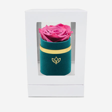 Single Dark Green Suede Box | Orchid Rose - The Million Roses