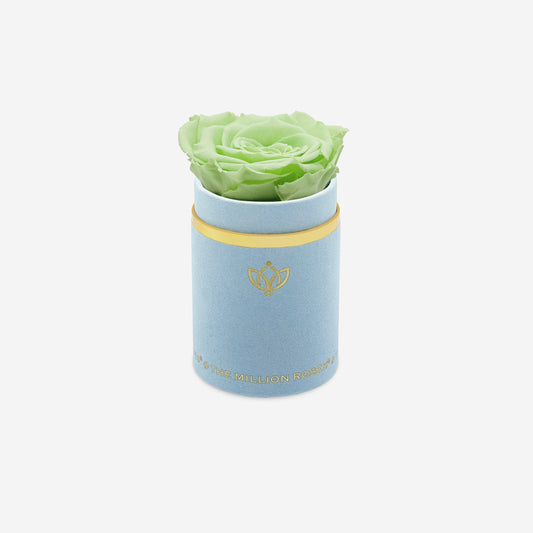 Single Light Blue Suede Box | Mint Green Rose - The Million Roses