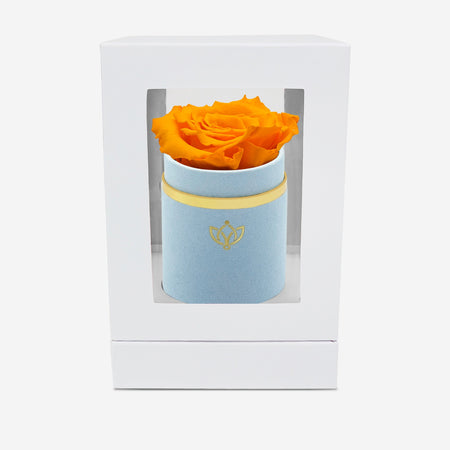 Single Light Blue Suede Box | Orange Rose - The Million Roses