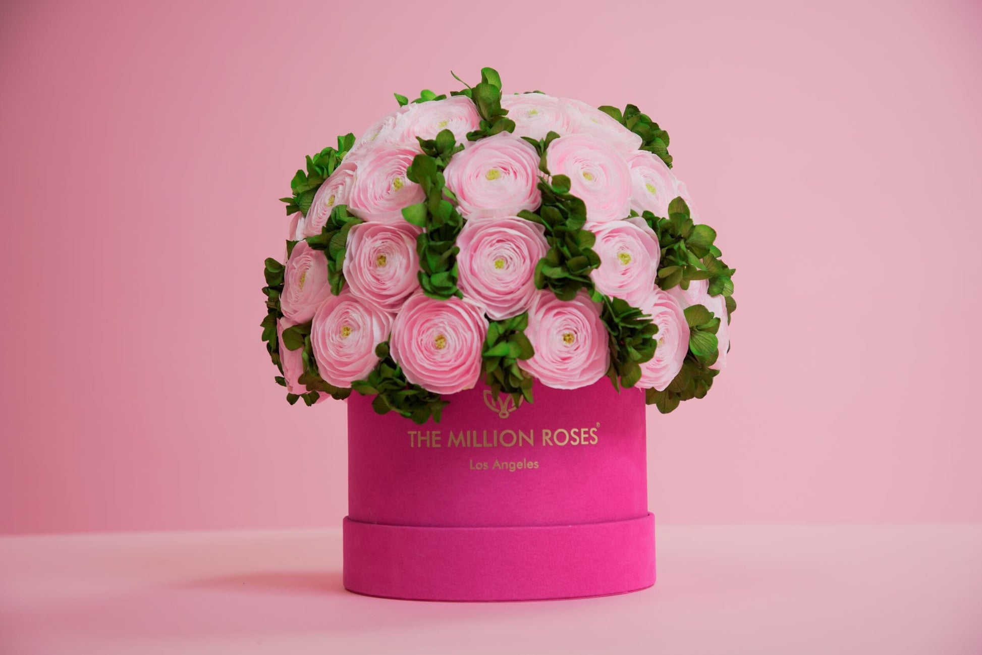 Classic Dark Green Suede Box | Light Pink Persian Buttercups & Green Hydrangeas - The Million Roses