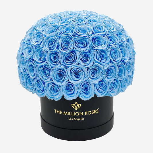 Supreme Black Superdome Box | Light Blue Roses - The Million Roses