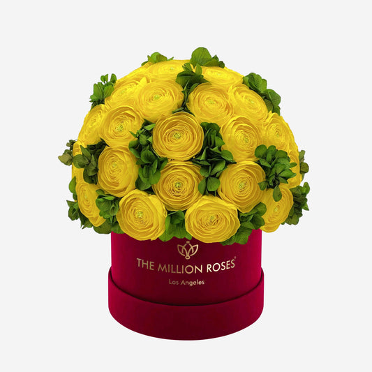 Classic Bordeaux Suede Box | Yellow Persian Buttercups & Green Hydrangeas - The Million Roses