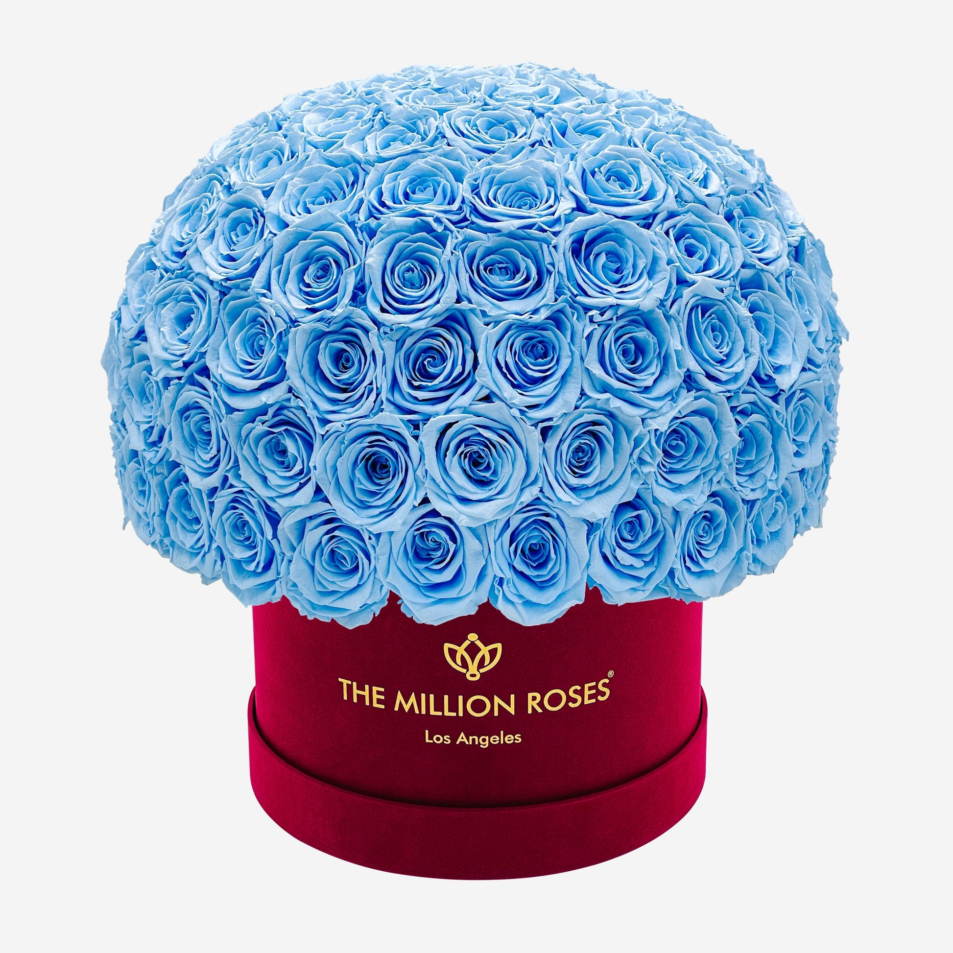 Supreme Bordeaux Suede Superdome Box | Light Blue Roses - The Million Roses
