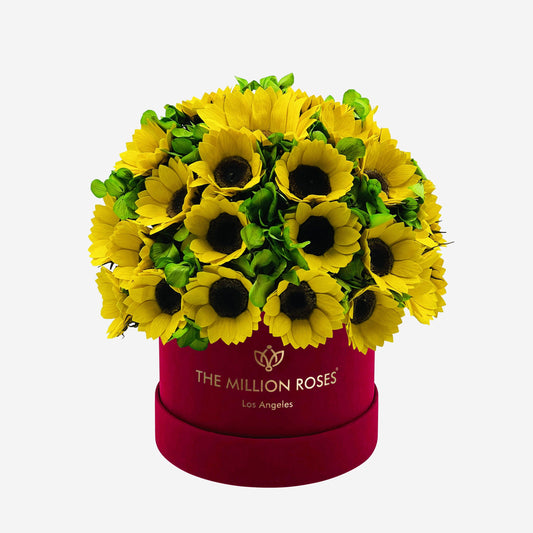 Classic Bordeaux Suede Box | Sunflowers & Green Hydrangeas - The Million Roses