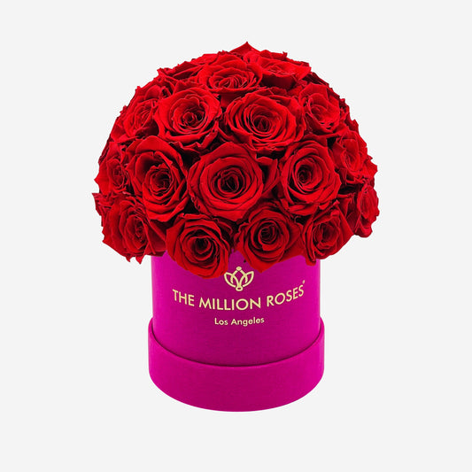 Basic Hot Pink Suede Superdome Box | Red Roses - The Million Roses