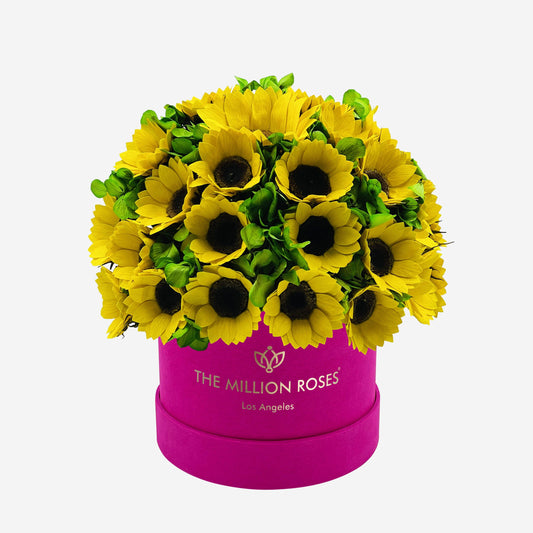 Classic Hot Pink Suede Box | Sunflowers & Green Hydrangeas - The Million Roses