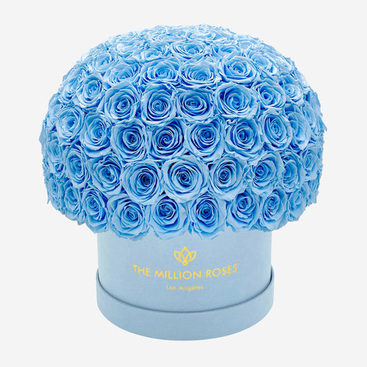 Supreme Light Blue Suede Superdome Box | Light Blue Roses - The Million Roses
