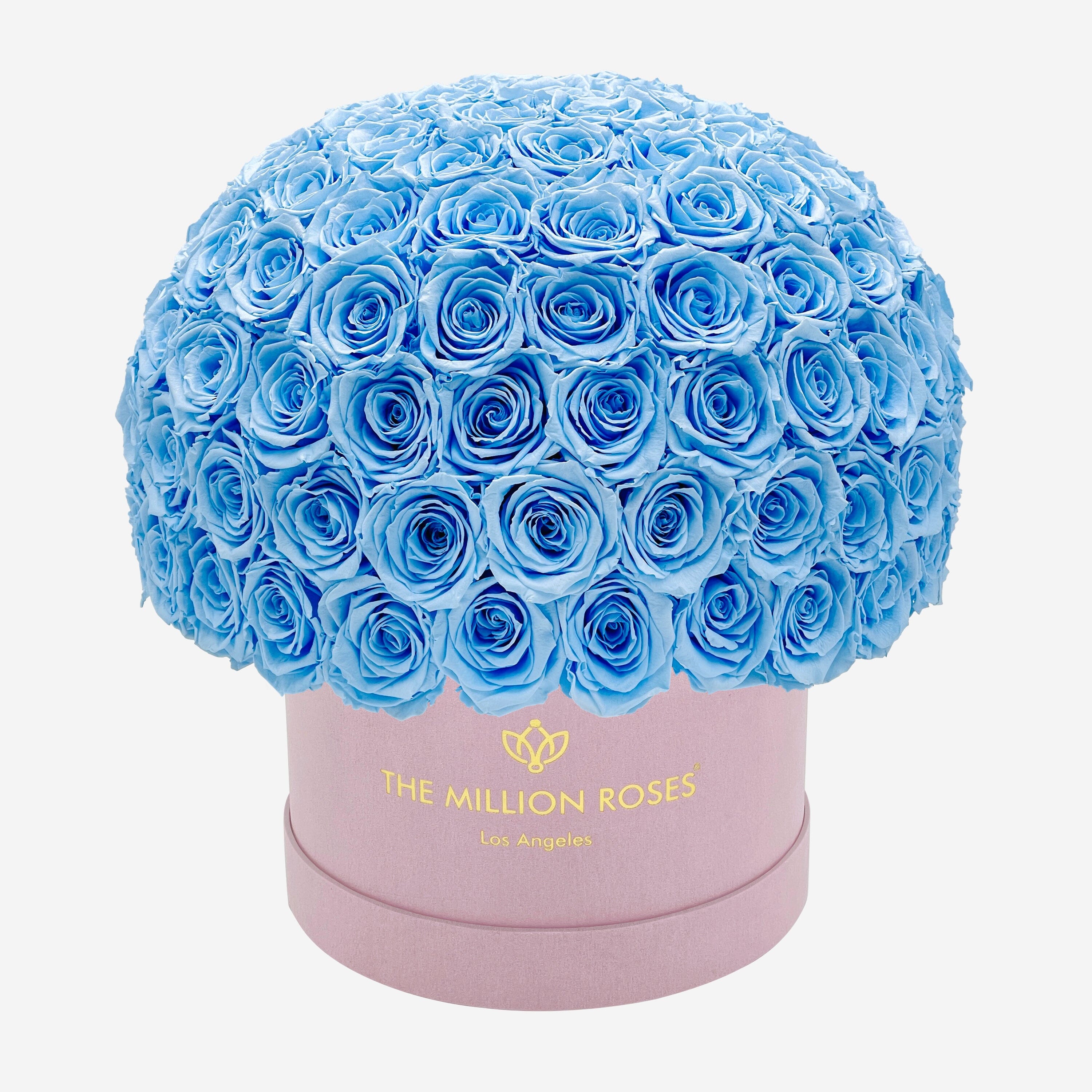 Supreme Light Pink Suede Superdome Box Light Blue Roses The Million Roses 1463