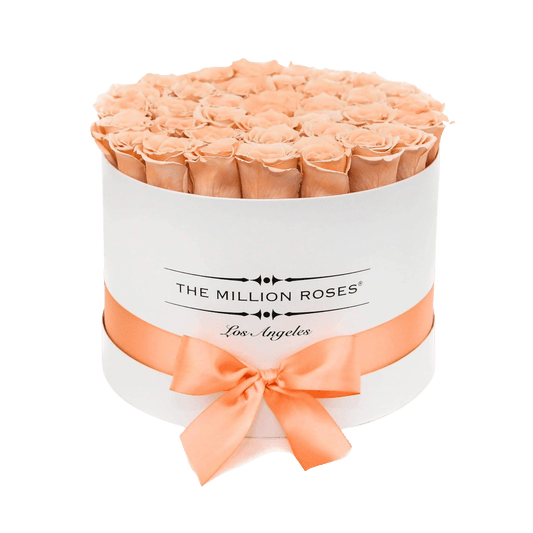 Supreme White Box | Peach Roses - The Million Roses