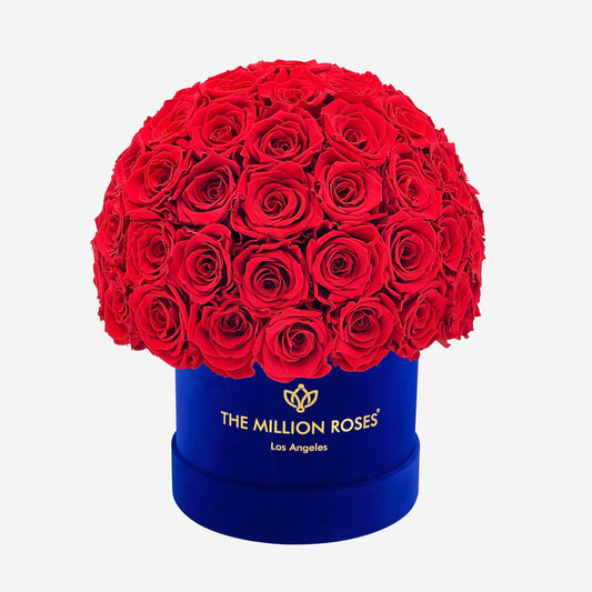 Classic Royal Blue Suede Superdome Box | Red Roses - The Million Roses