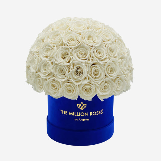 Classic Royal Blue Suede Superdome Box | White Roses - The Million Roses