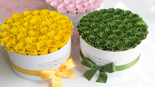 Green Roses Make Gorgeous Gifts