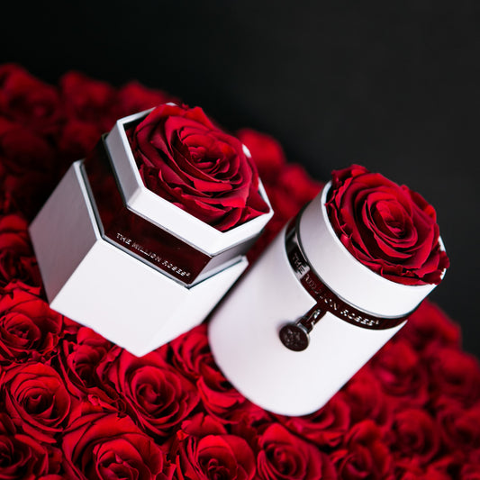 Celebrate Eternal Love with The Million Roses