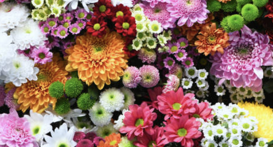 The Science of Floral Happiness