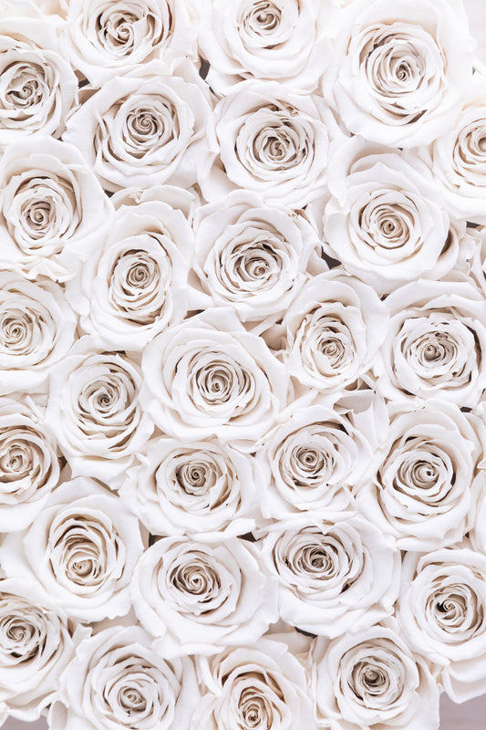 4 Differences Between Preserved Roses and Dried Flowers