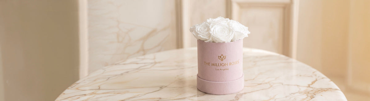 Basic Boxes with Preserved Roses | The Million Roses®