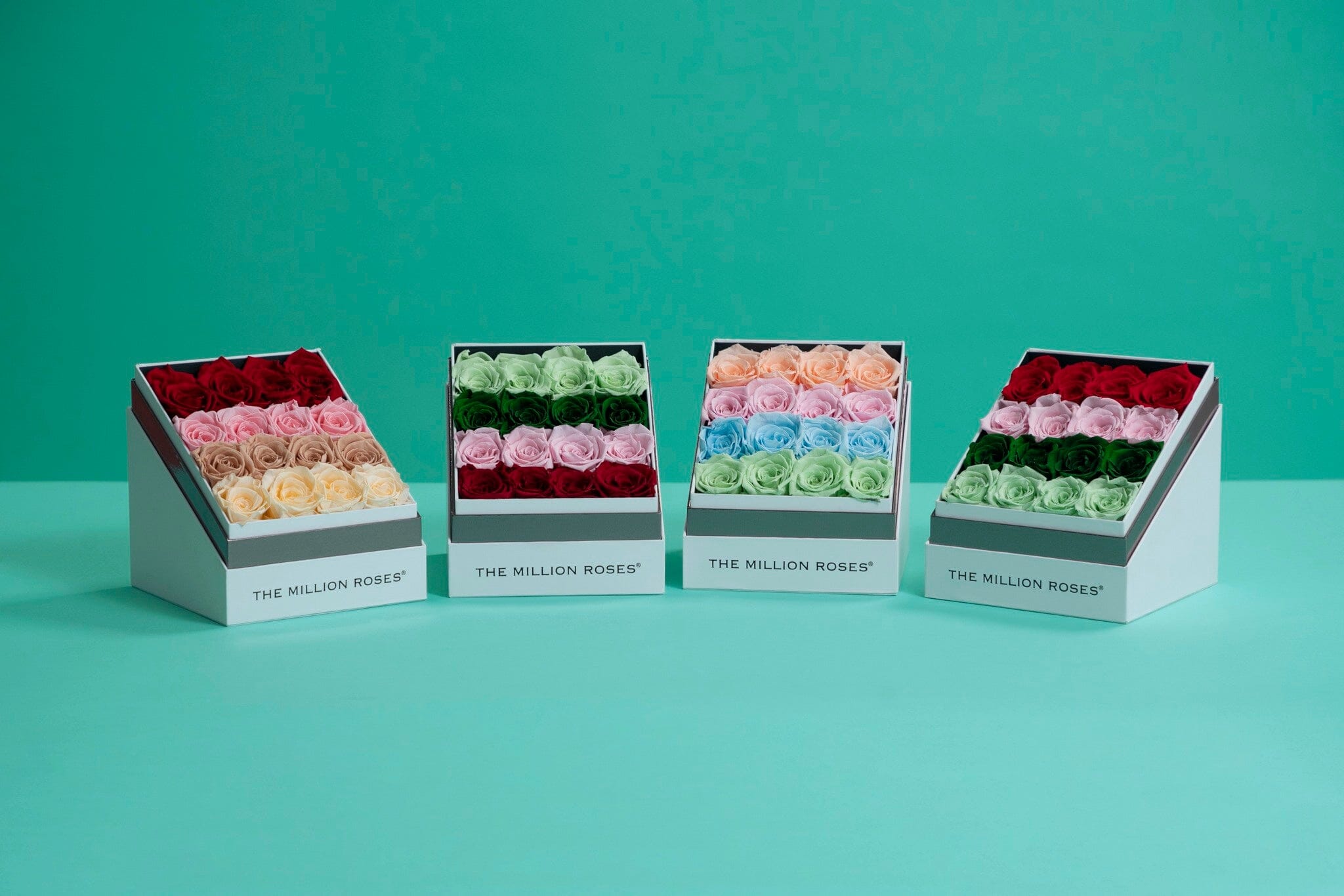 Fade - Four Colors Preserved Roses Boxes | The Million Roses®