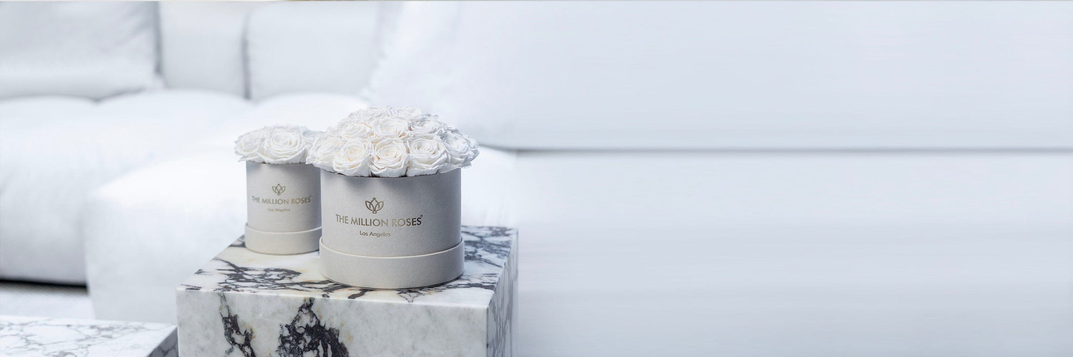 White Roses - Preserved & Forever Roses in a Box | The Million Roses®