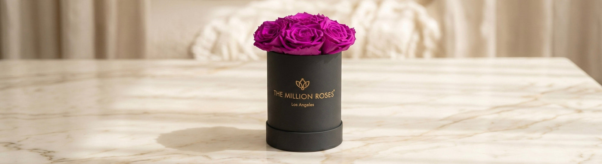 Black box Bright purple roses