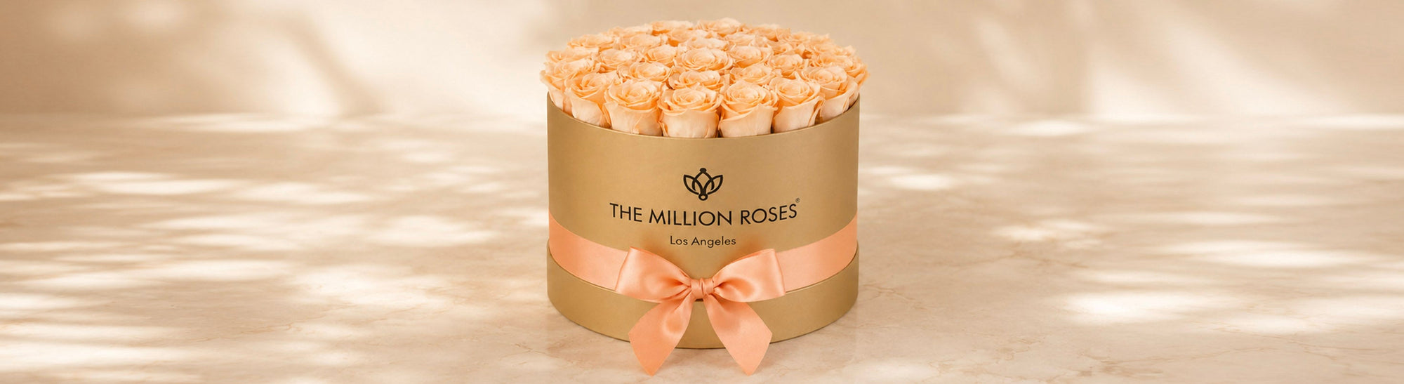 Gold box - Peach roses