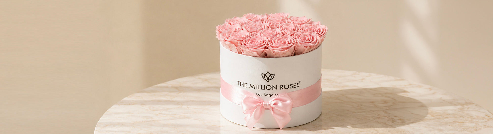 Light Pink Roses