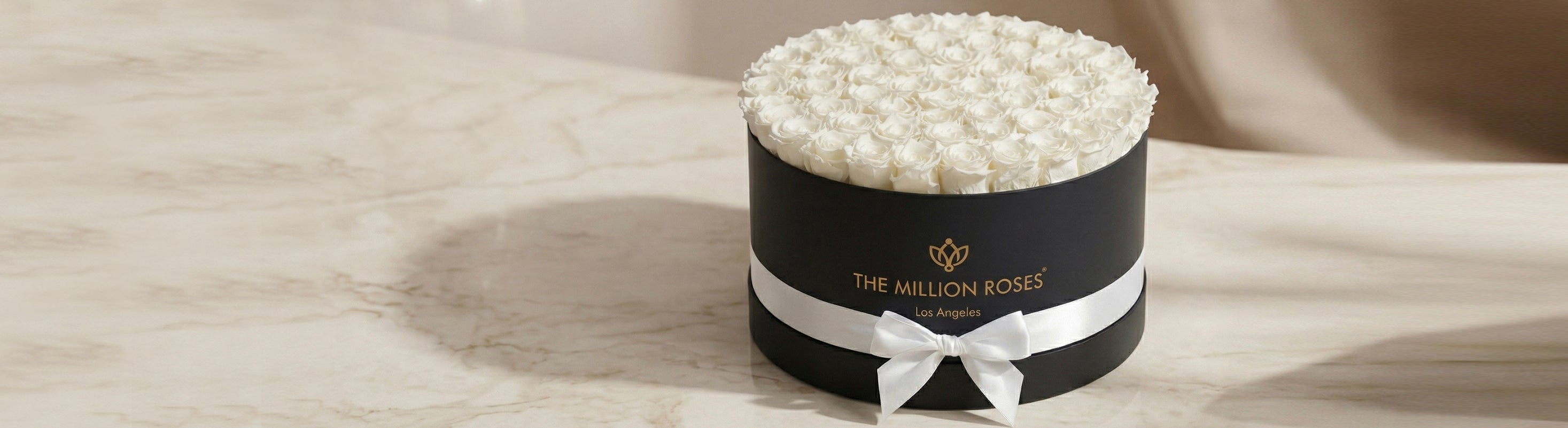 The Absolute Editions