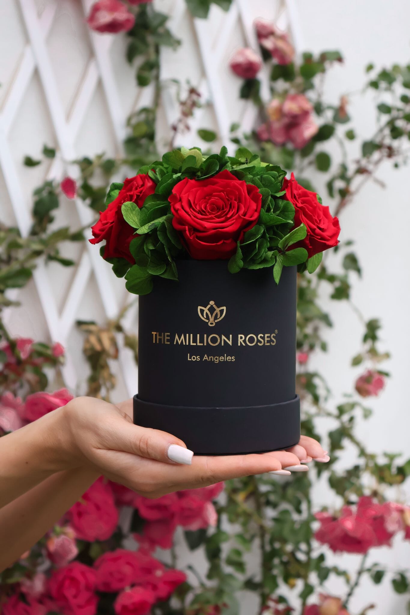 Basic Black Garden Box | Red Roses