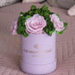 Basic Light Pink Suede Garden Box | Light Pink Roses