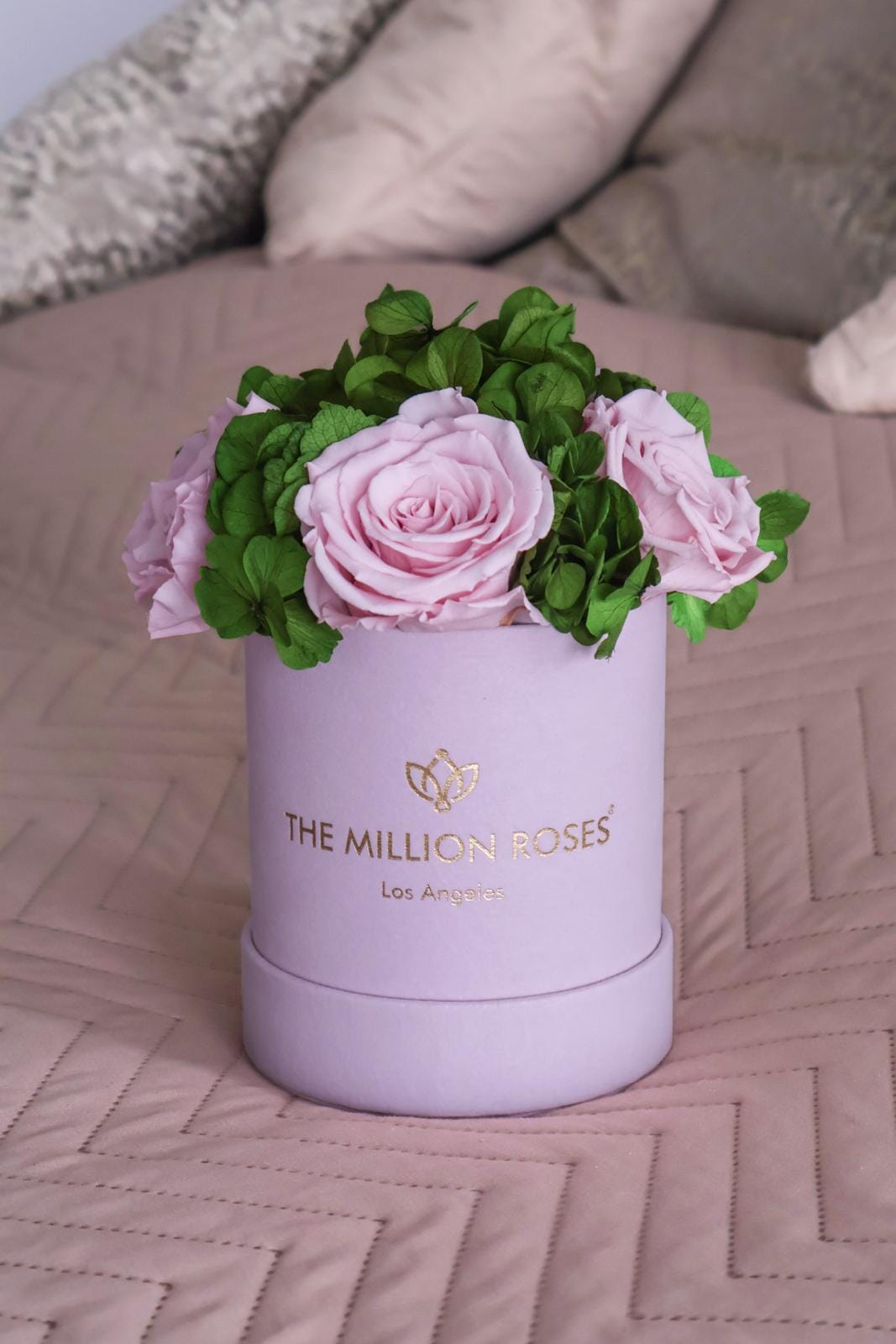 Basic Light Pink Suede Garden Box | Light Pink Roses