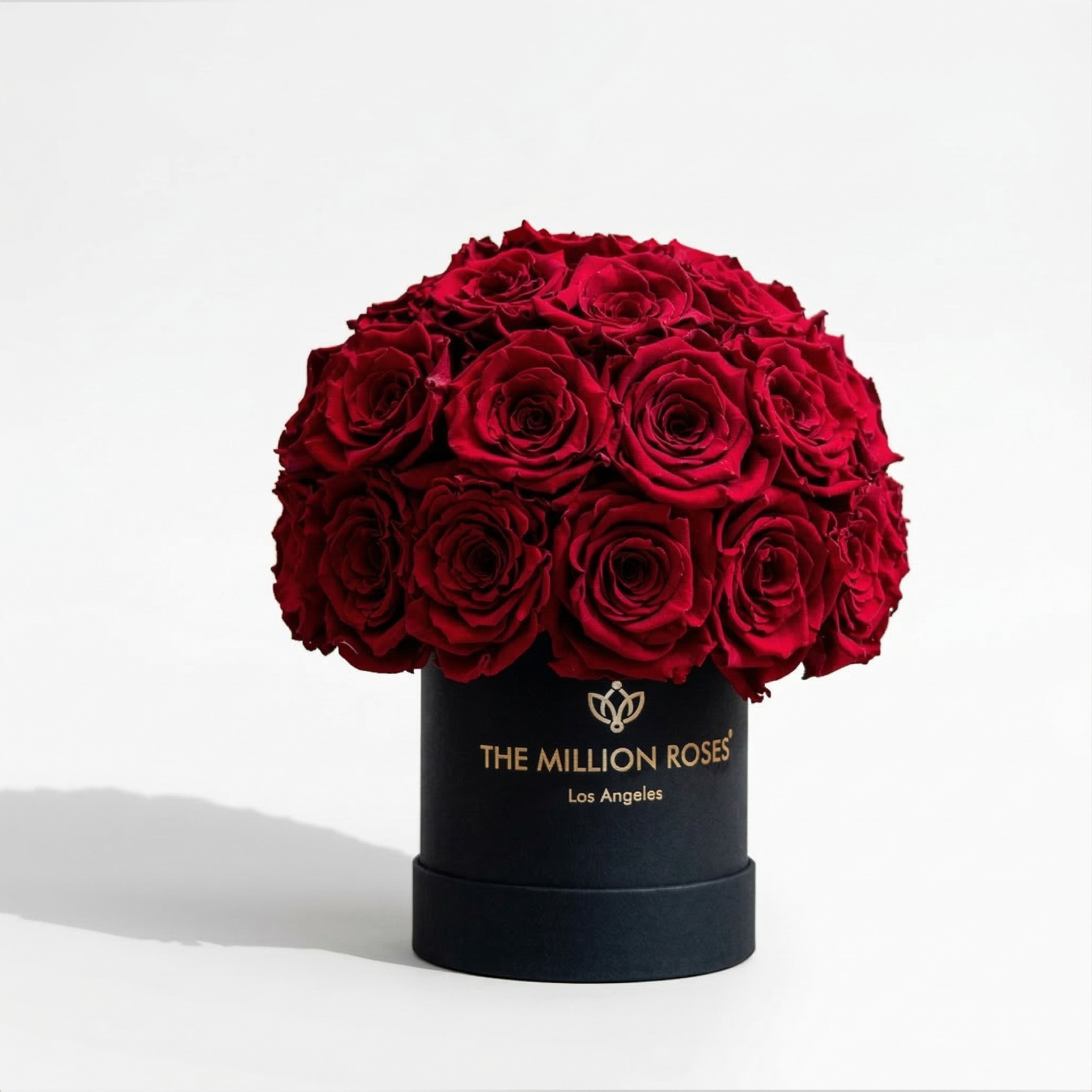 邦楽 HOTEI MEMORIAL SUPER BOX Essence Black Superdome Box | Red Roses