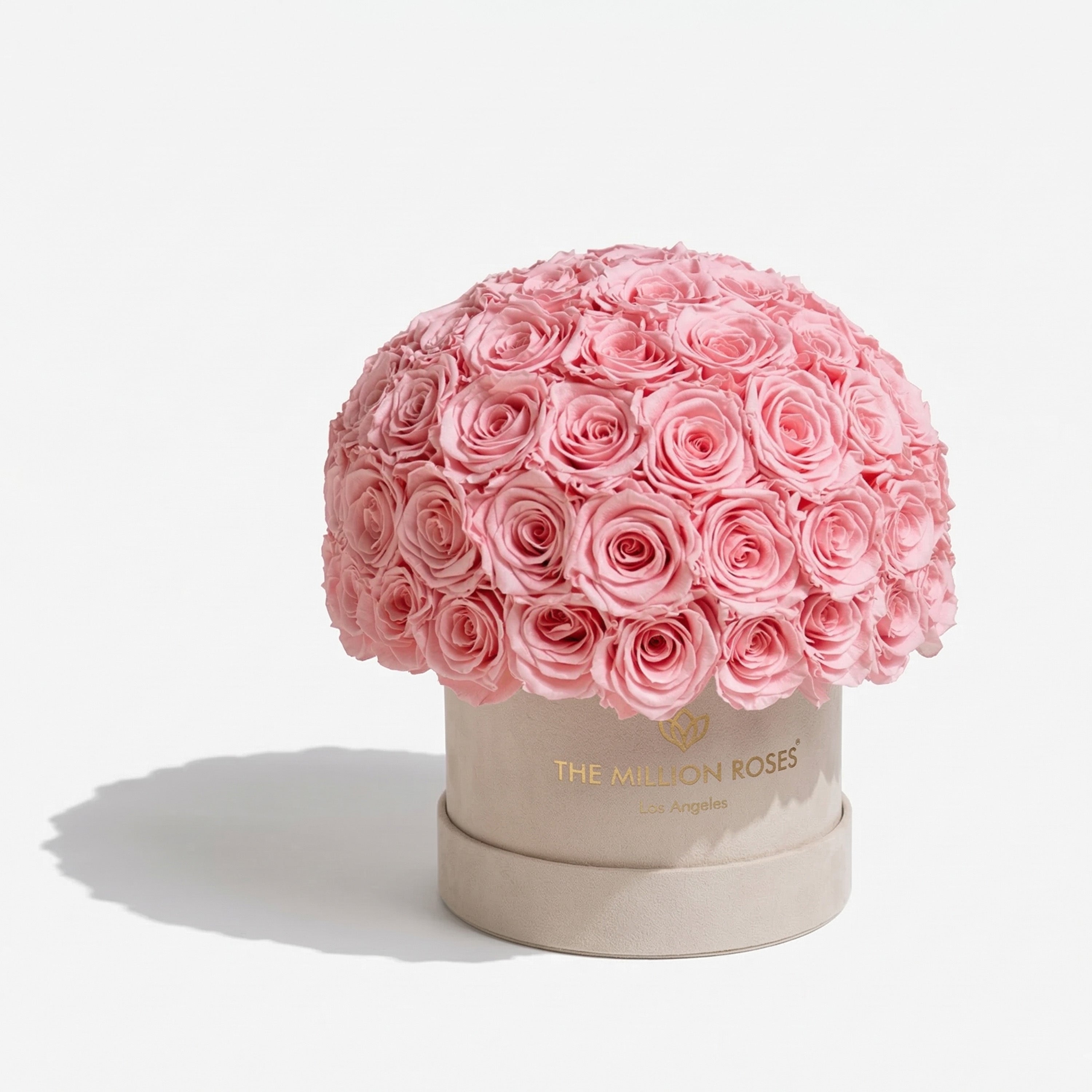 Classic Beige Suede Superdome Box | Light Pink Roses