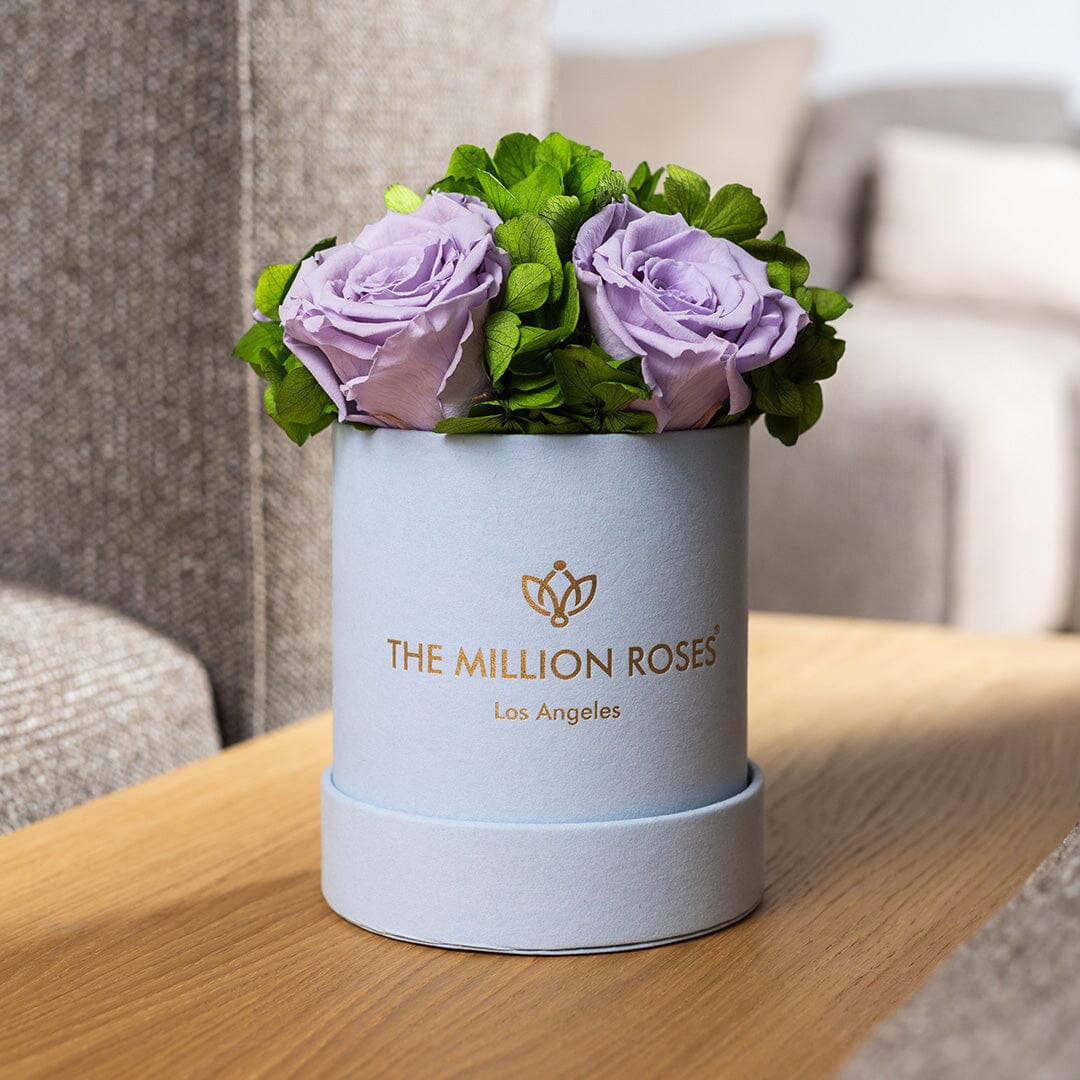 Basic Light Blue Suede Garden Box | Lavender Roses