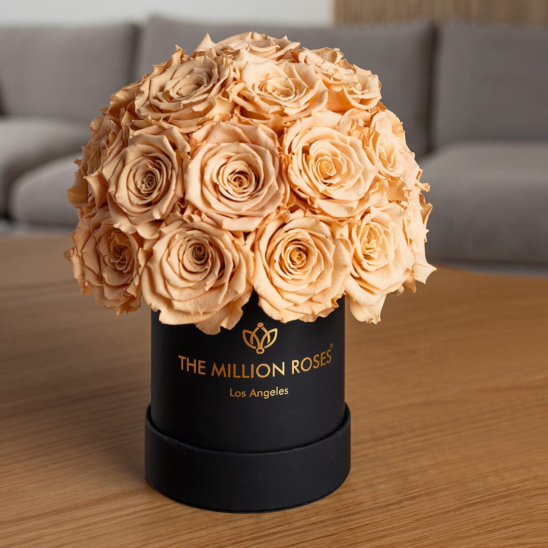 Basic Black Superdome Box | Sand Roses