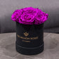 Boîte Basic Noire | Roses Violet Vif 